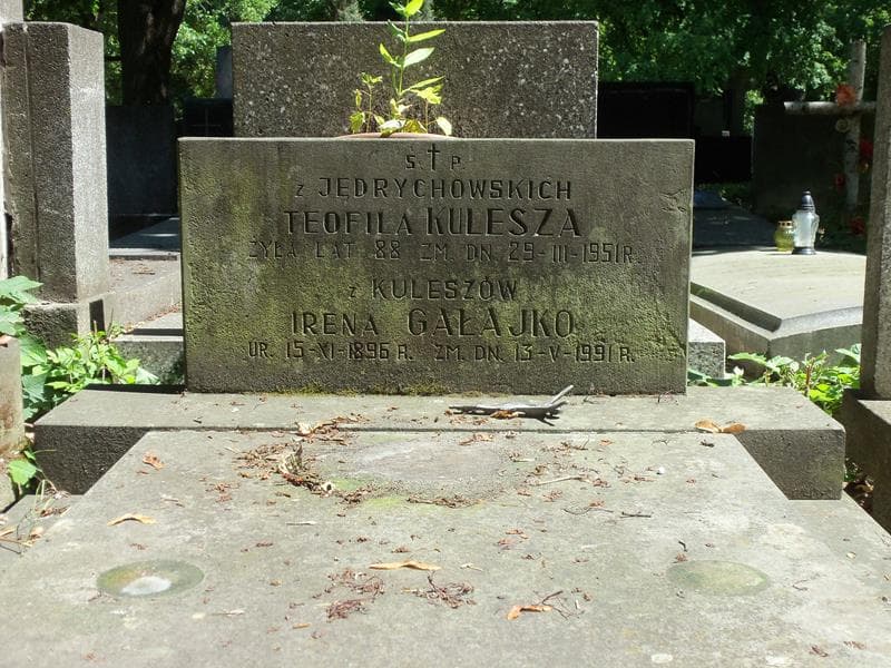 Zdjęcie grobu Teofila Kulesza (2)
