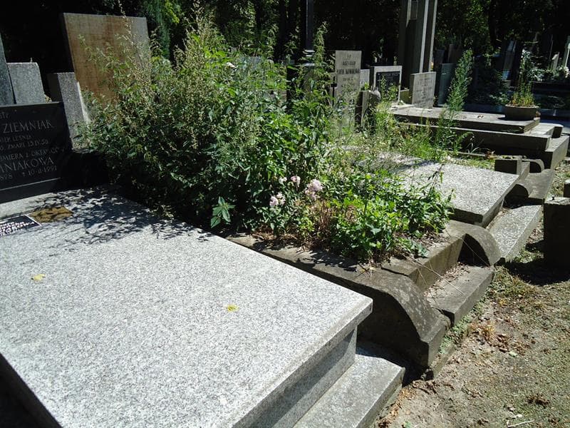 Zdjęcie grobu Elżbieta Dzierzkowska (1)