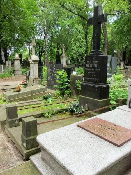 Zdjęcie grobu Józef Wójcicki (1)
