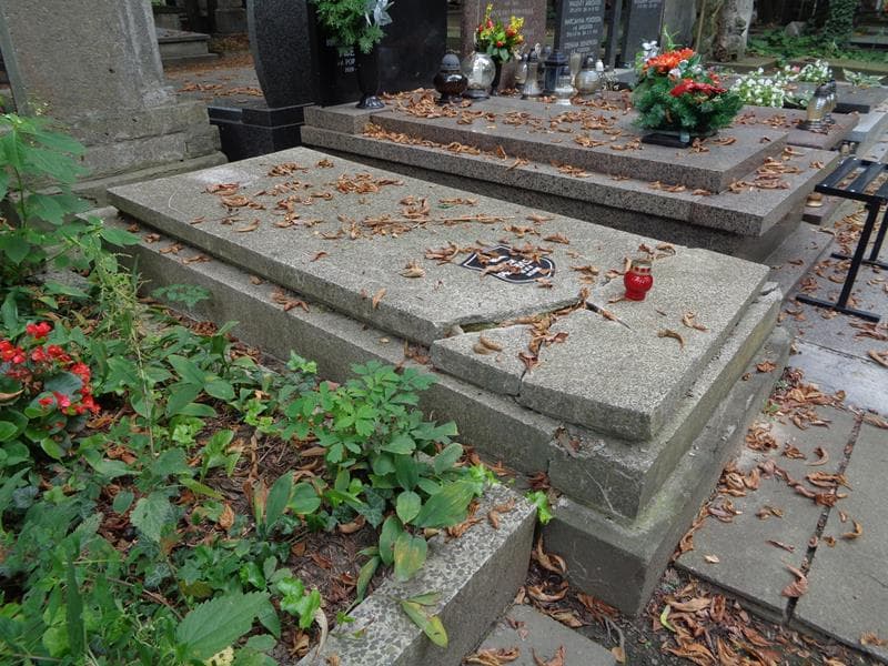 Zdjęcie grobu: Karol Dobrzyński