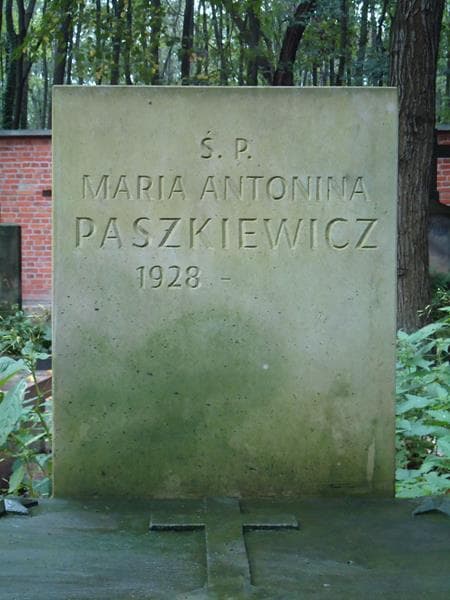 Zdjęcie grobu Michał Wołowski (2)