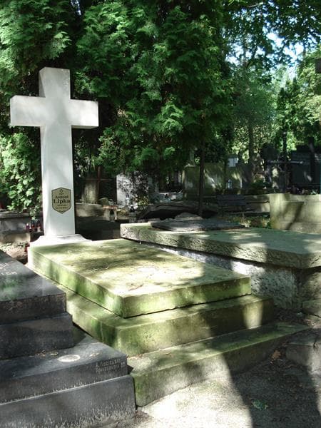 Zdjęcie grobu Salomea Chróściechowska (1)
