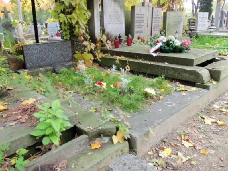 Zdjęcie grobu Wanda Bacewicz (1)