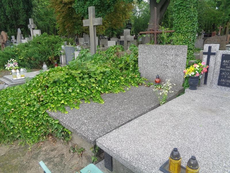 Zdjęcie grobu: Zofia Litwin