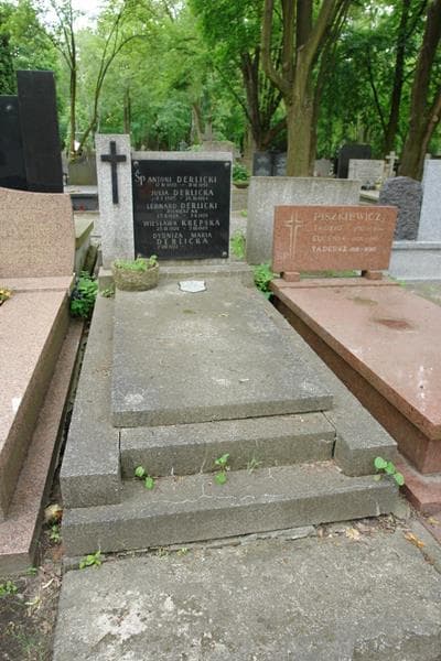 Zdjęcie grobu Wiesława Krępska (1)