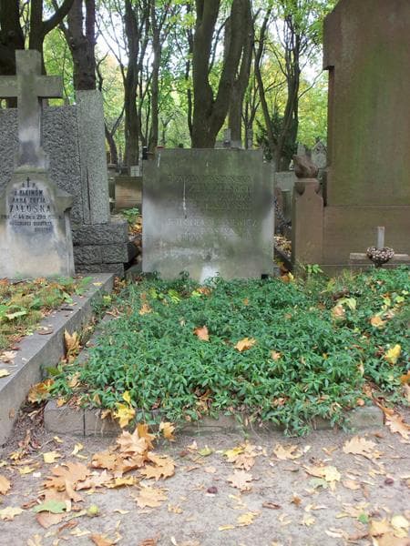 Zdjęcie grobu: Józef Ptaszyński