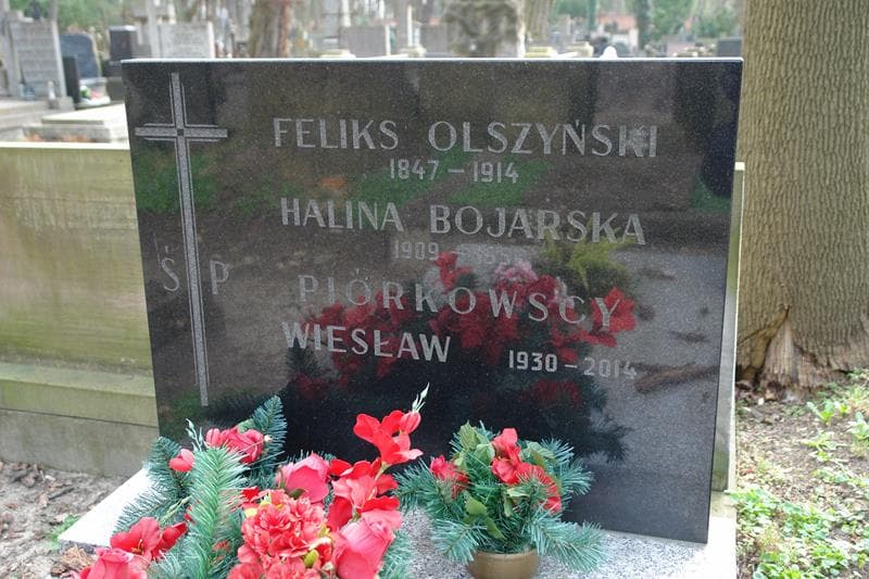 Zdjęcie grobu Ludwik Olszyński (1)