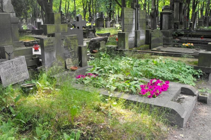 Zdjęcie grobu: Halina Baniewiczówna
