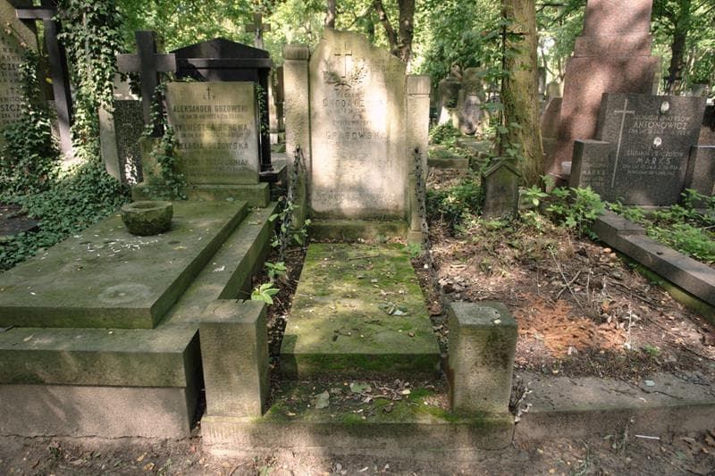 Zdjęcie grobu Wacław Jan Chodaczyński (1)