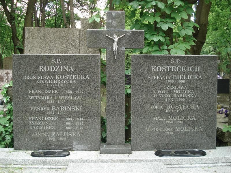 Zdjęcie grobu Henryk Babiński (2)