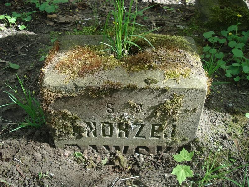 Zdjęcie grobu Andrzej Pawski (1)