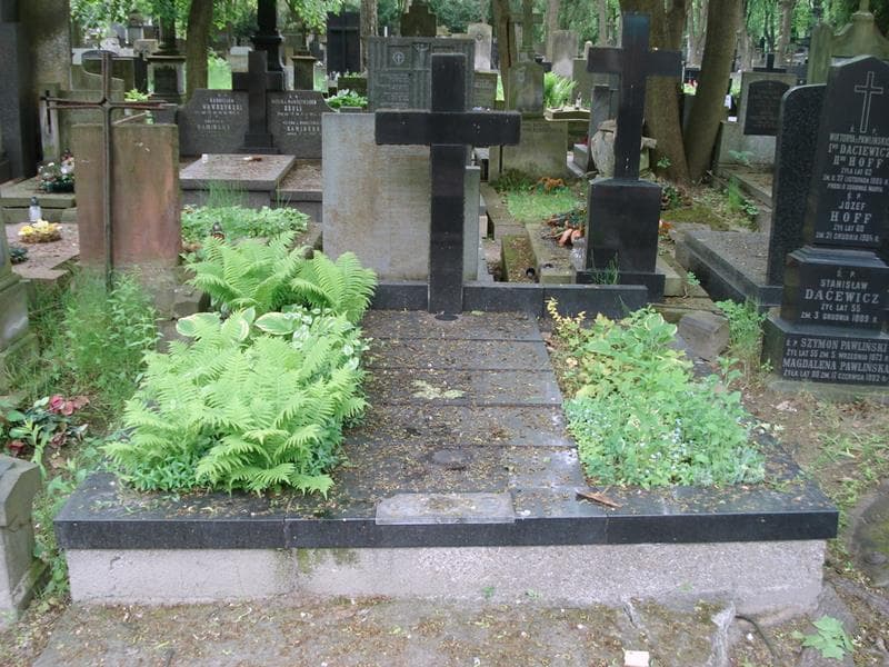 Zdjęcie grobu Janina Drabik (1)