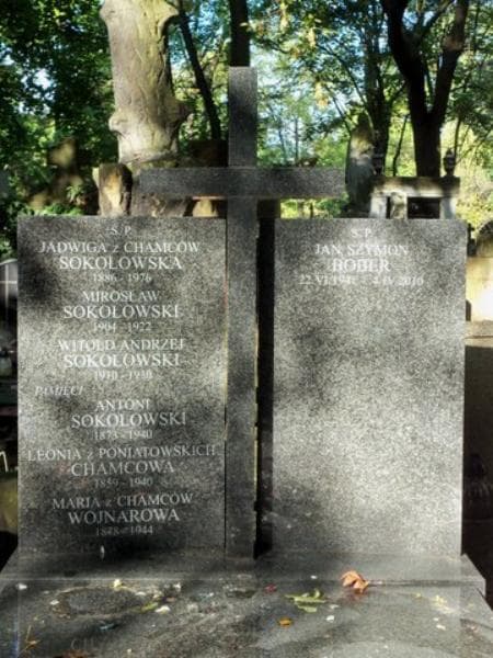 Zdjęcie grobu Leonia Chamcowa (2)
