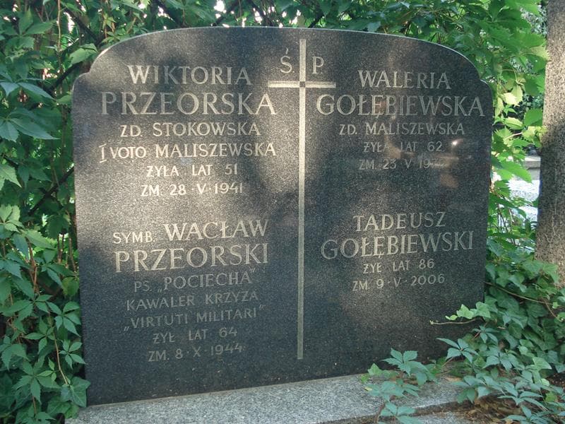 Zdjęcie grobu Tadeusz Gołębiewski (2)