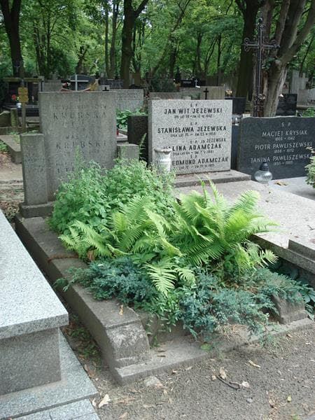 Zdjęcie grobu Maria Utlińska (1)