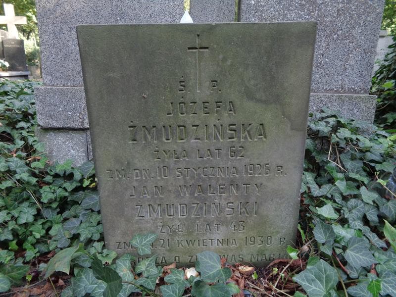 Zdjęcie grobu Józefa Żmudzińska (1)