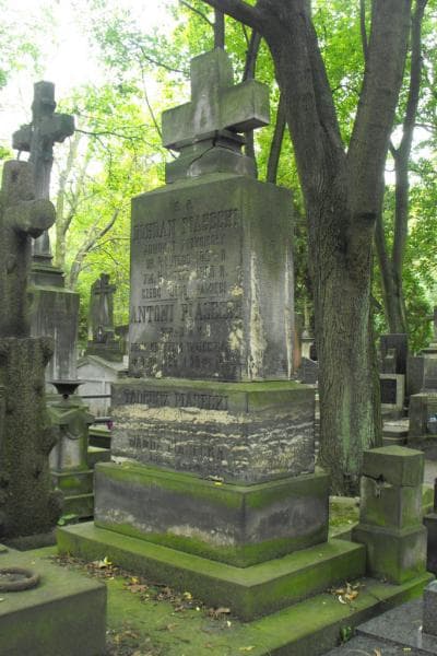 Zdjęcie grobu Tadeusz Piasecki (2)