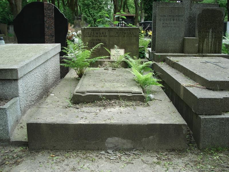 Zdjęcie grobu: Seweryn Januszewski