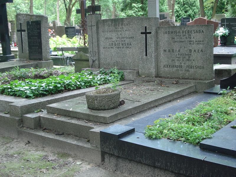 Zdjęcie grobu Aleksander Peresada (1)