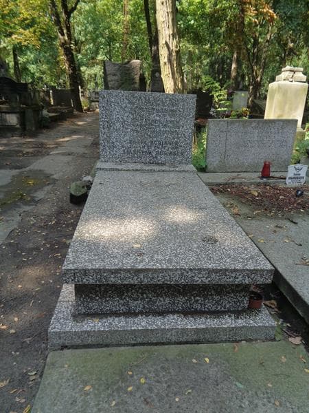 Zdjęcie grobu Kazimierz Walewski (1)