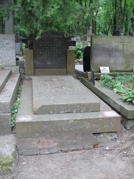 Zdjęcie grobu Ludomir Wąsowski (1)