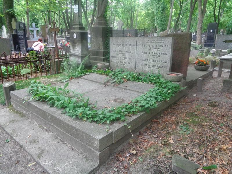 Zdjęcie grobu: Sylwester Berwicz