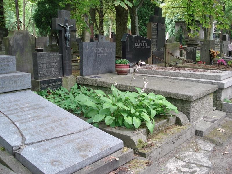 Zdjęcie grobu: Jan Koch