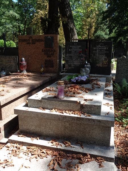Zdjęcie grobu Wawrzyniec Tadeusz Koźmiński (1)