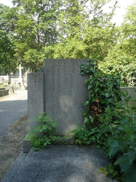 Zdjęcie grobu Krystyna Gościmska (2)
