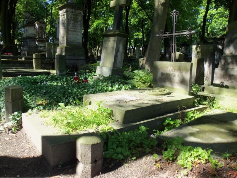 Zdjęcie grobu Elżbieta Jankowska (1)
