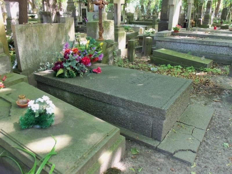 Zdjęcie grobu Hanna Mikos (2)