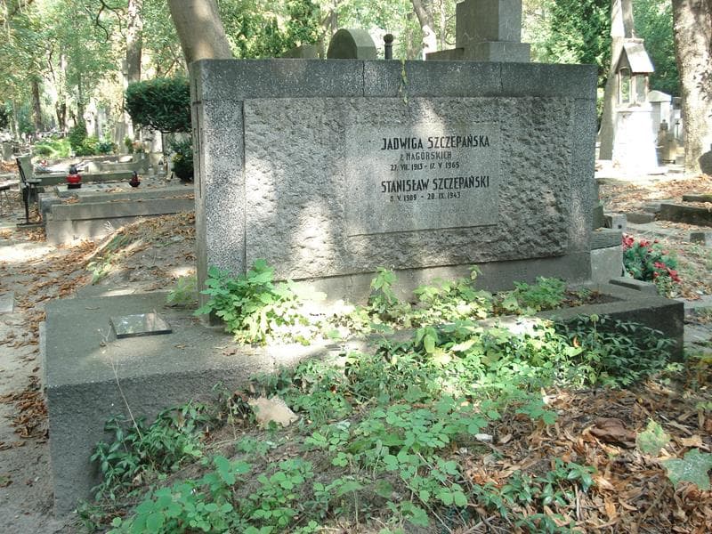 Zdjęcie grobu Jadwiga Szczepańska (2)