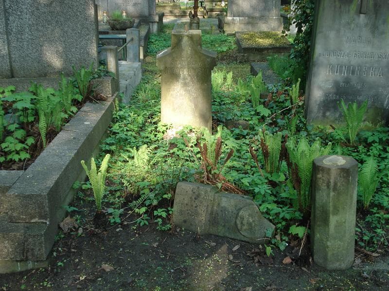 Zdjęcie grobu: Stanisław Jarochowski