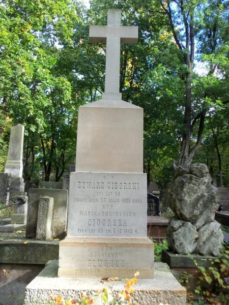 Zdjęcie grobu Stanisław Głuszcz (2)