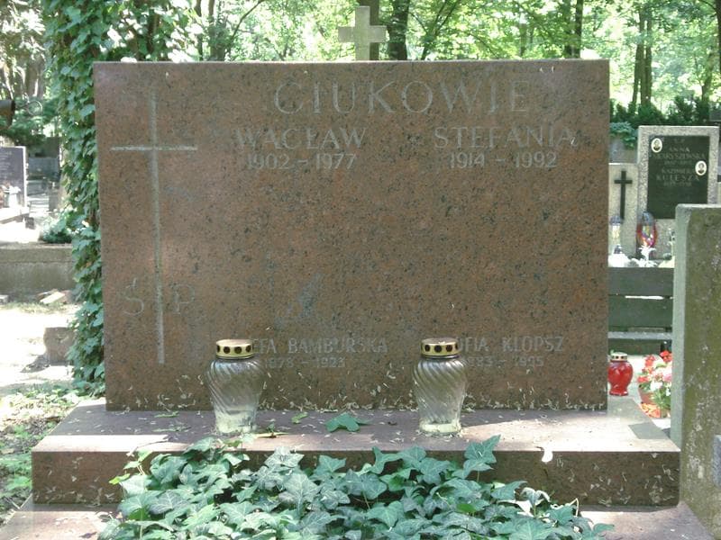 Zdjęcie grobu Józefa Bamburska (1)