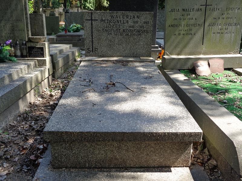 Zdjęcie grobu: Tadeusz Kozłowski