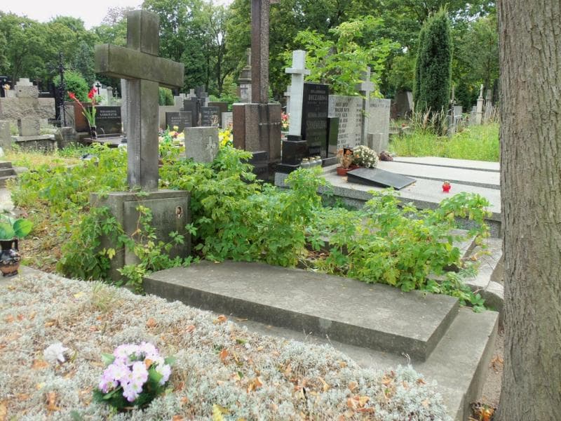 Zdjęcie grobu Janina Marszycka (1)
