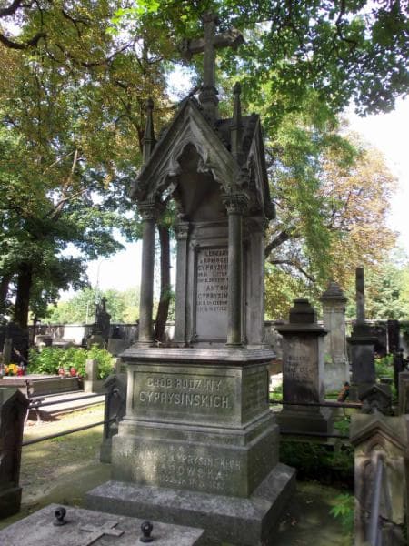 Zdjęcie grobu Alfred Ignacy Chłapowski (2)