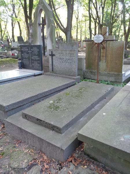 Zdjęcie grobu: Zdzisław Lubieniecki