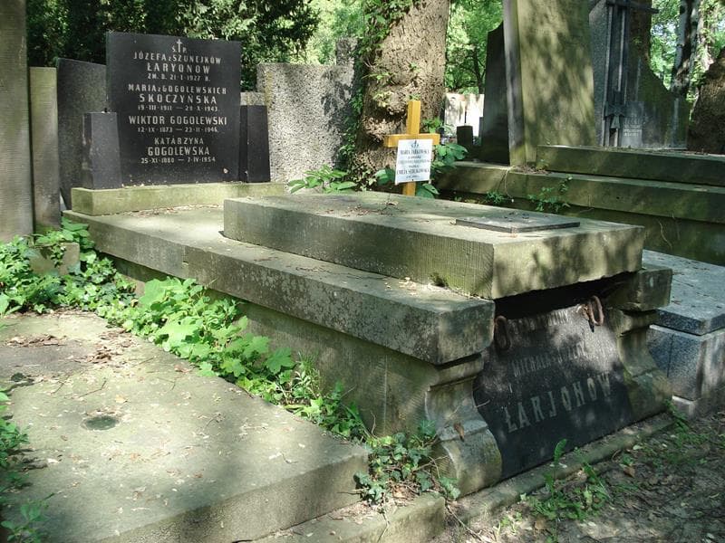 Zdjęcie grobu Julia Downar (1)