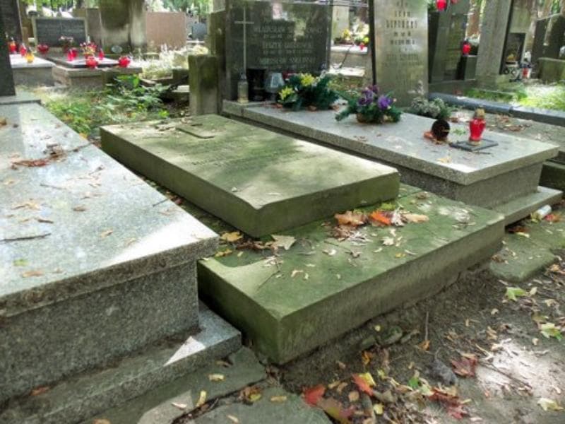 Zdjęcie grobu Michalina Klochowiczowa (2)