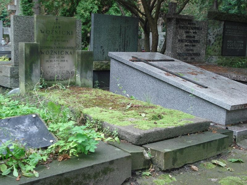 Zdjęcie grobu Jan Woźnicki (1)