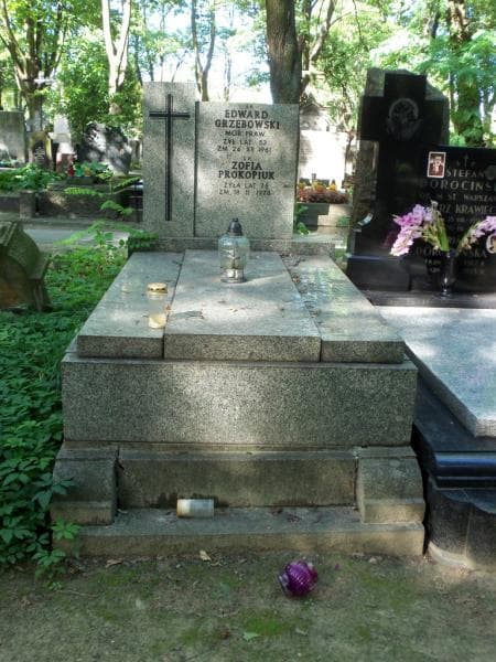 Zdjęcie grobu: Edward Grzębowski