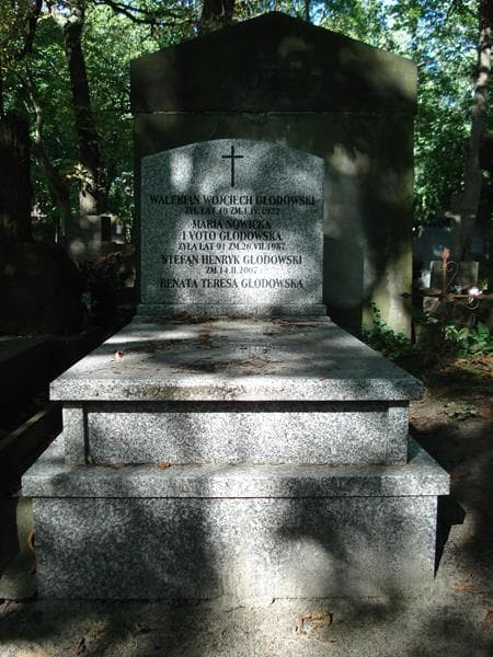 Zdjęcie grobu: Stefan Henryk Głodowski