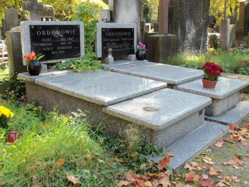 Zdjęcie grobu Aleksy Domański (1)