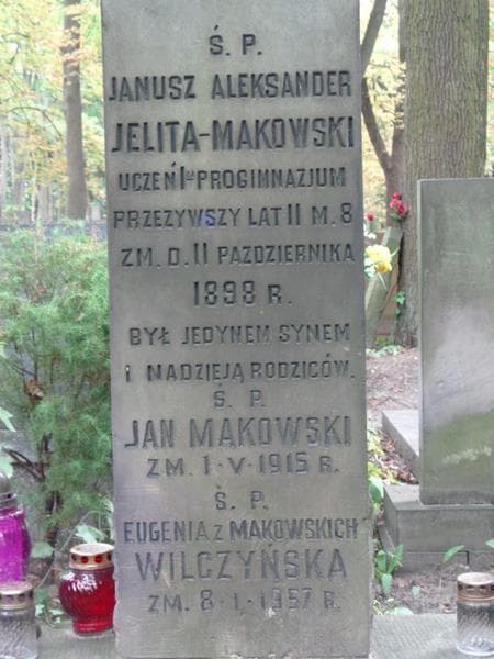Zdjęcie grobu Antonina Dolnicka (2)