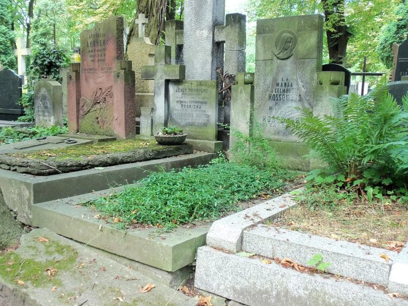 Zdjęcie grobu Maria Arciszewska-Iwanowska (1)