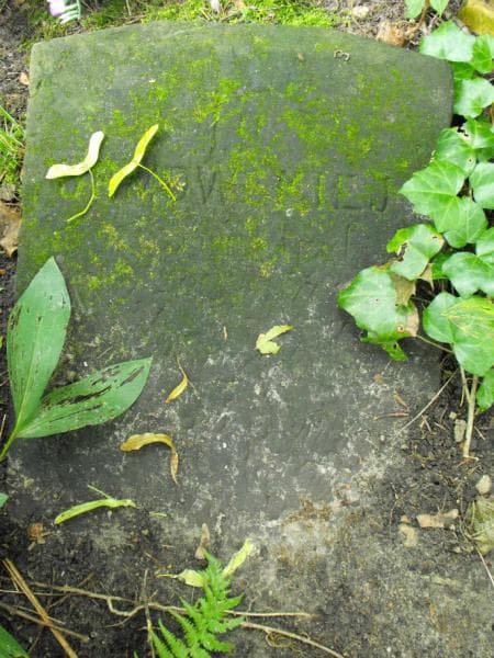 Zdjęcie grobu Zofia Urmowska (2)