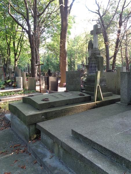 Zdjęcie grobu: Stanisław Nowicki