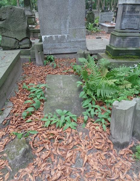 Zdjęcie grobu Wacław Okoński (1)